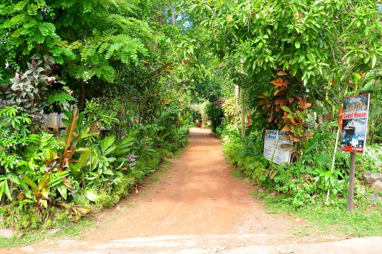 Little Swan Guest House Bentota Exterior foto